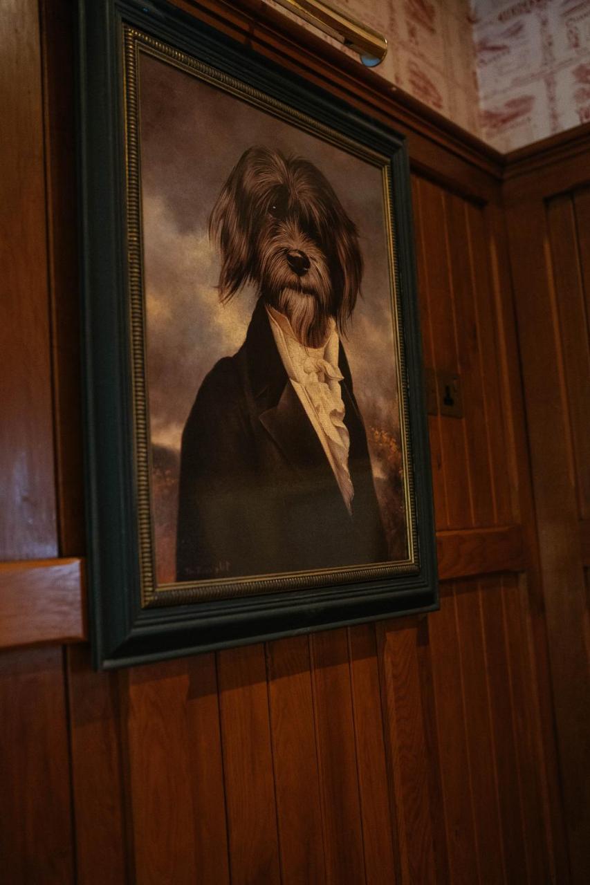 Raheen House Hotel クロンメル エクステリア 写真